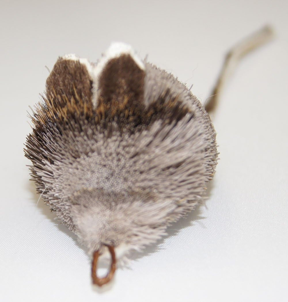 Versatile Fun Rat Pack: 3 Mice Refill Attachments for Wildcat & Popular Bird Catcher Wands