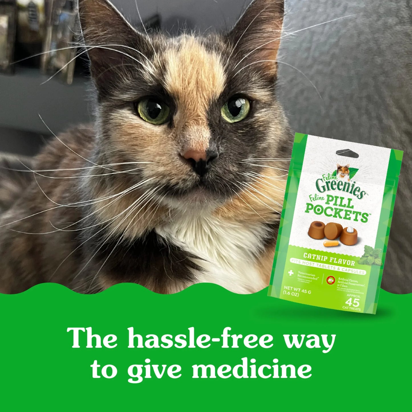 Feline Pill Pockets for Cats Natural Soft Cat Treats, Catnip Flavor, 1.6 Oz Pack (45 Treats)