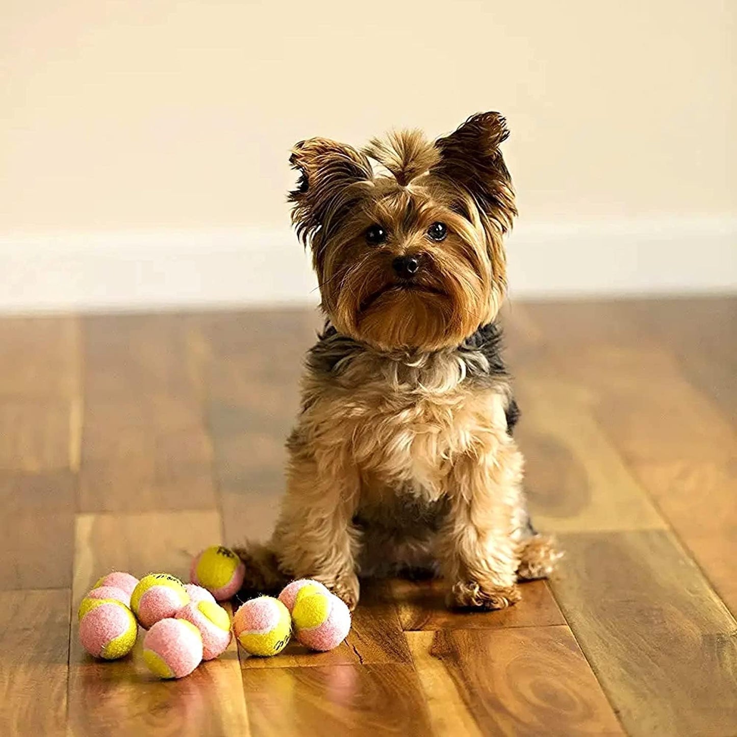 Mini X-Small Dog Tennis Balls - 1.5" Fetch Balls for Puppies - Pack of 12 in Fun Yellow & Pink Colors