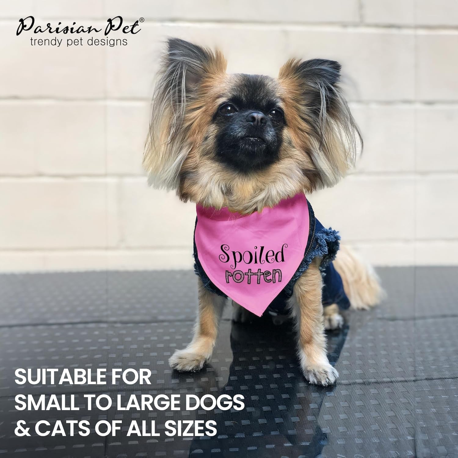 Dog Bandanas with Printed 'Spoiled Rotten' Word - Tie-On Adjustable Bandana for Dogs - Female Dog Scarf for Small Dogs - Triangle Cat and Dog Bib - Pink Handkerchief for Pets - S