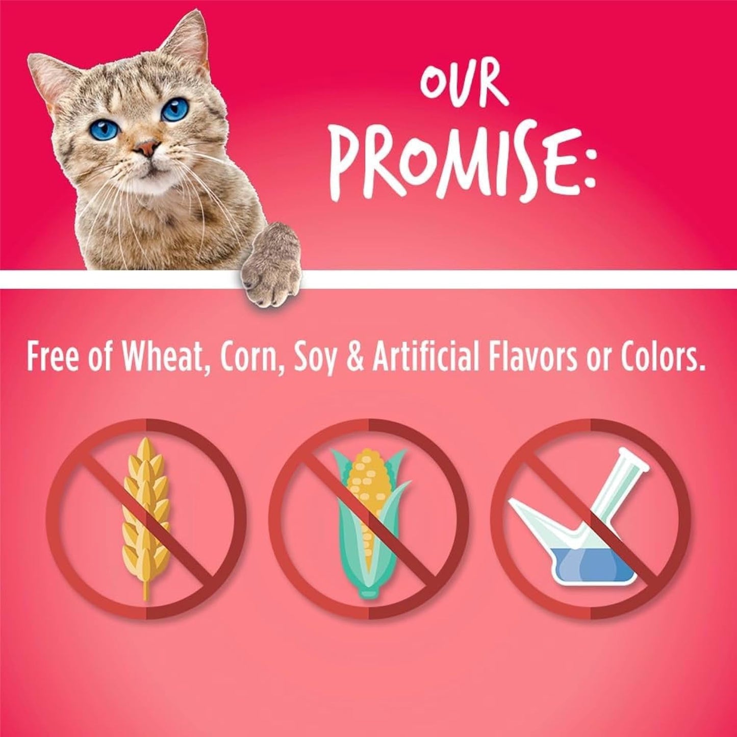 Cat Treats, Healthy Treats for Cats, Low Calorie and Packed with Protein, Crunchy Biscuits, Free of Wheat, Corn and Soy, Made with Real Salmon and Cranberry, 2.5Oz
