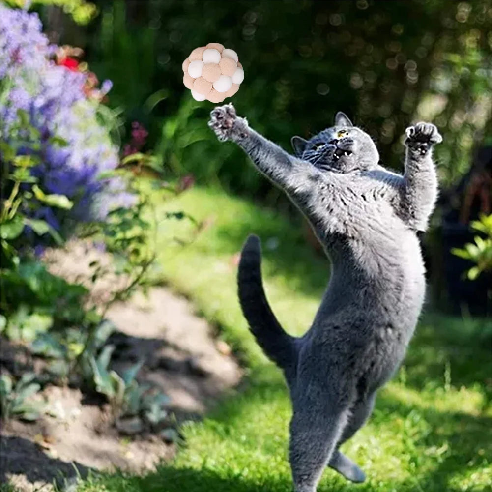 Cat Toy Balls (6 PCS) - Colorful Cat Ball Toy Built-In Bell Interactive Cat Ball Toy Soft Pompom Balls with Exquisite Gift Box for Indoor Cats Kitten