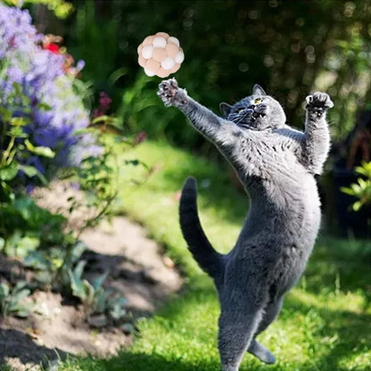 Cat Toy Balls (6 PCS) - Colorful Cat Ball Toy Built-In Bell Interactive Cat Ball Toy Soft Pompom Balls with Exquisite Gift Box for Indoor Cats Kitten