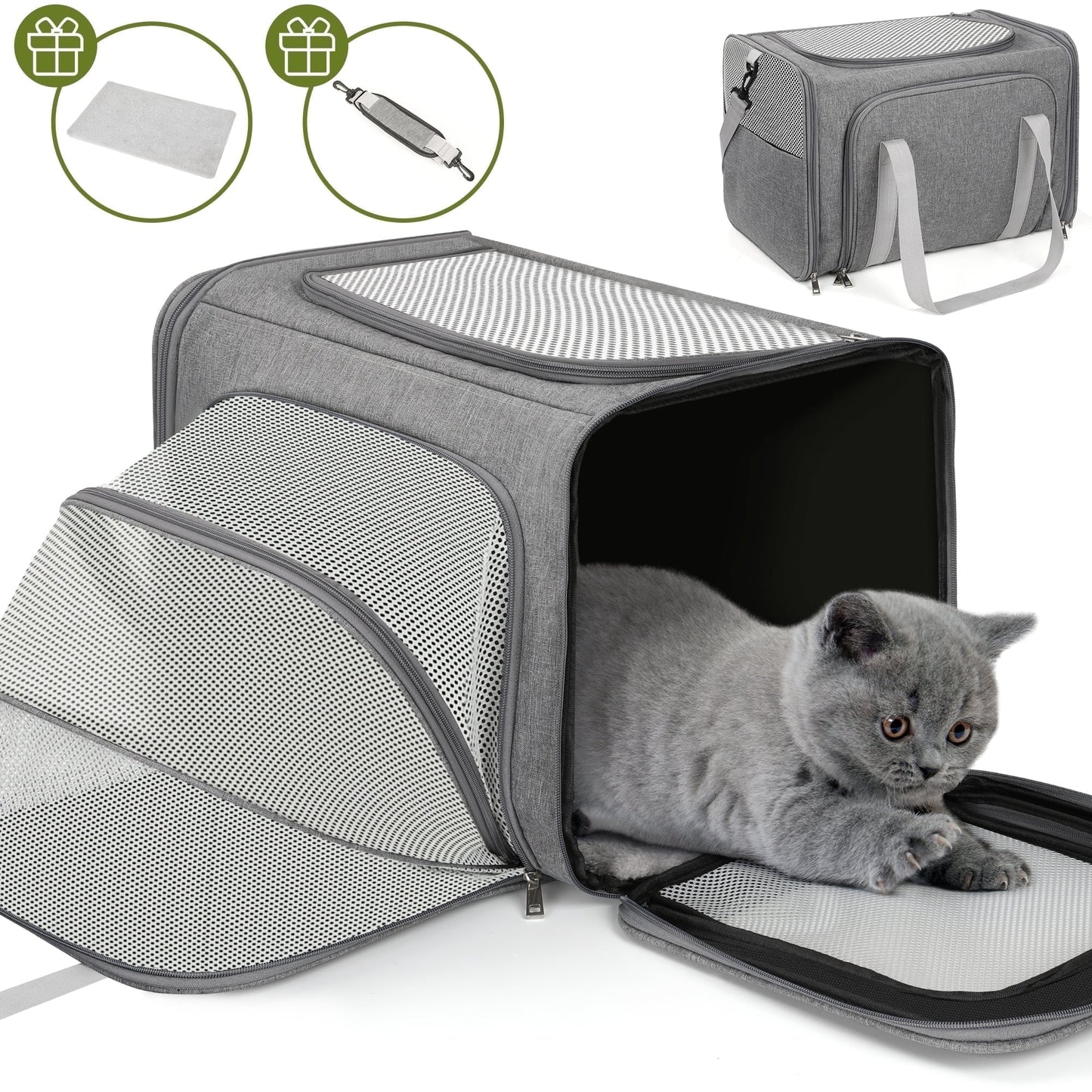 Expandable Pet Carrier, Airline Approved Collapsible Soft-Sided Carrier for Cats, Puppies, and Small Dogs (19"X 13"X 13")