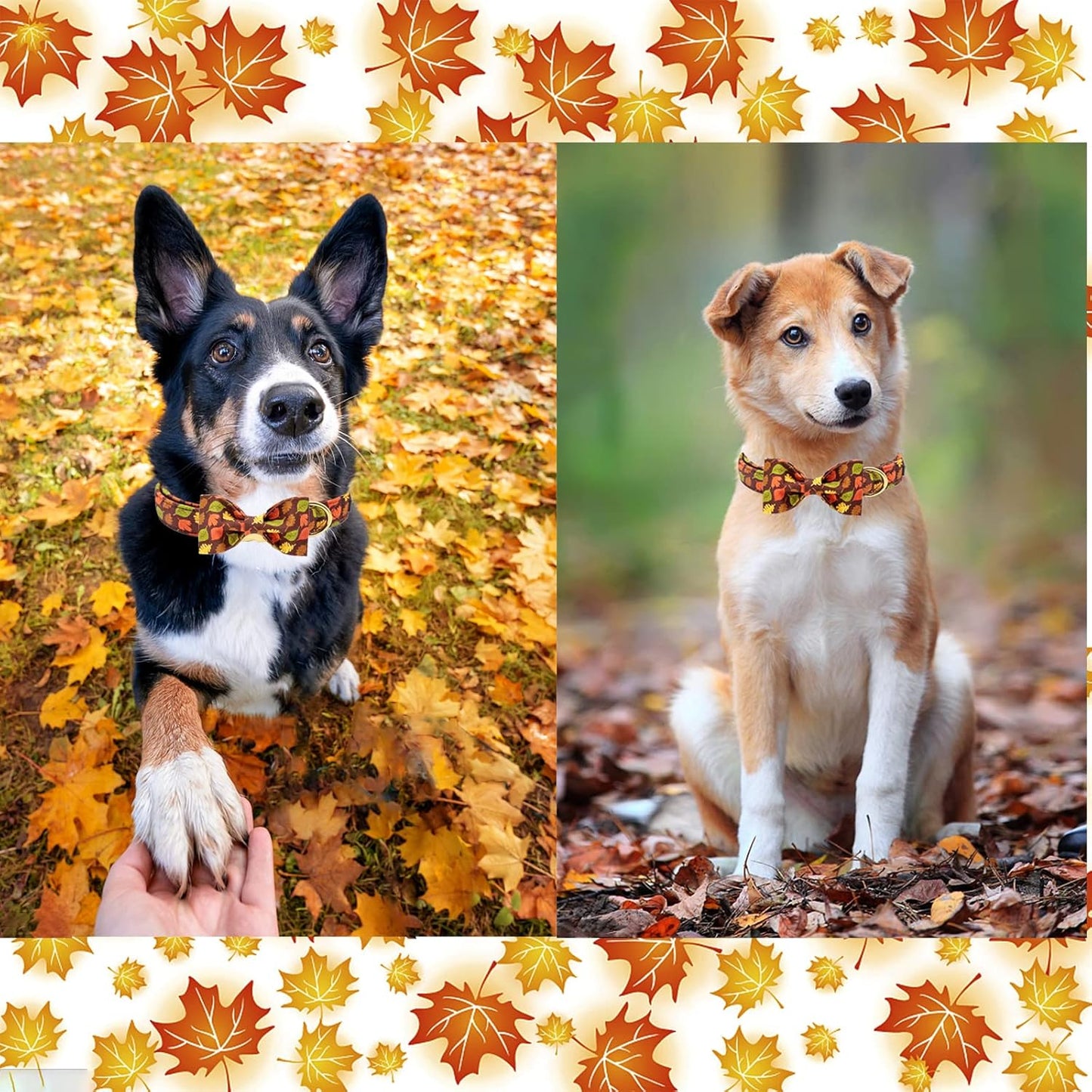 Fall Dog Collar with Bow, Puppy Collar Pet Gift Adjustable Dog Collar Soft and Comfy Bowtie Collars for Large Girl or Boy Dogs