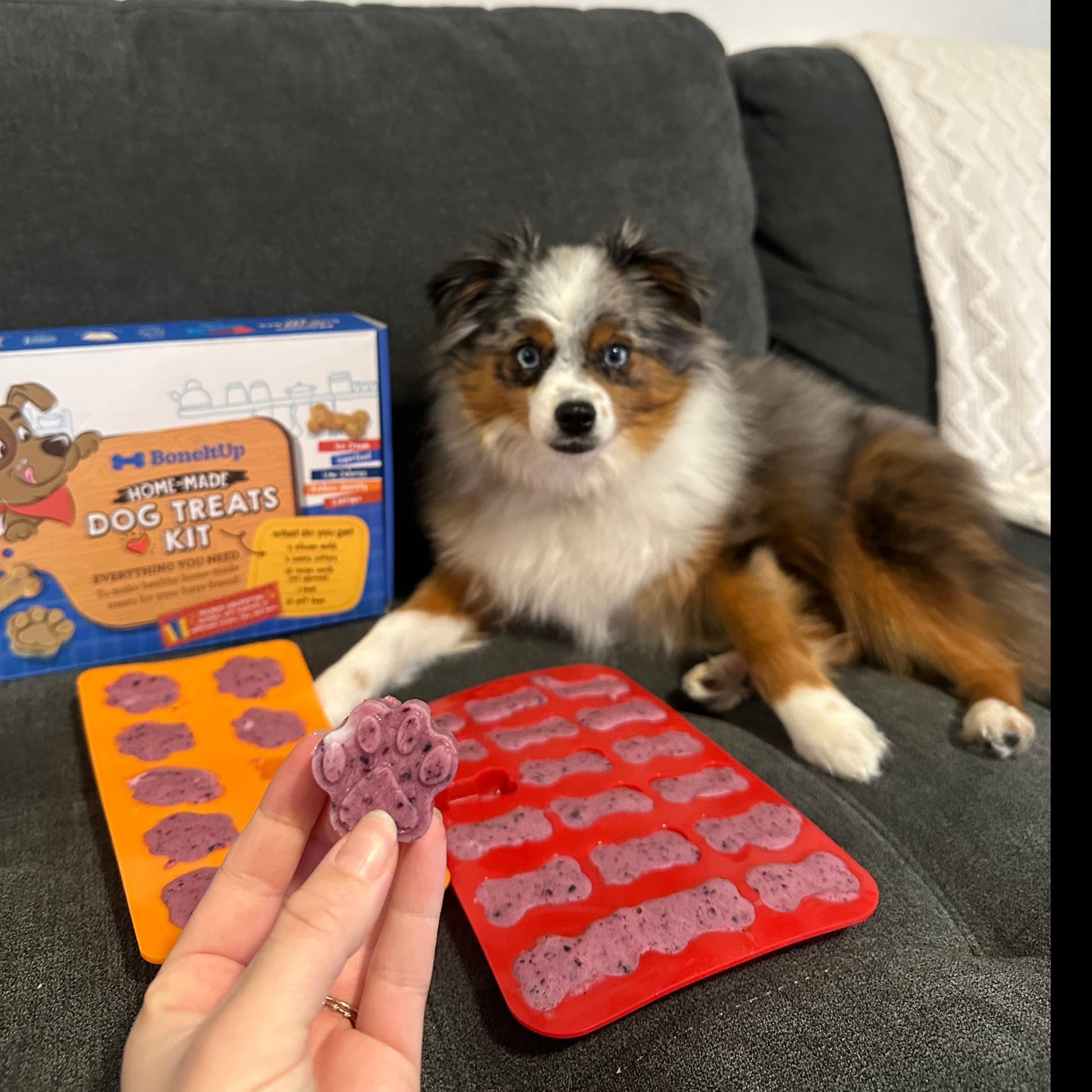 ® Homemade Dog Treats Kit