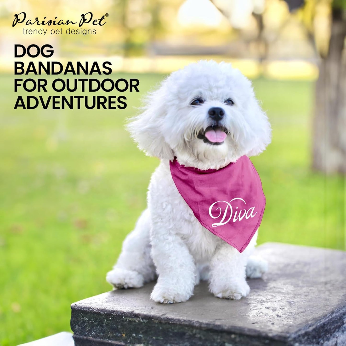 Dog Bandanas with Printed 'Diva' Word - Classy Tie-On Adjustable Girl Dogs Bandana - Scarf for Large Dogs - Washable Triangle Female Dog Bib - Pink Handkerchief for Pets - L