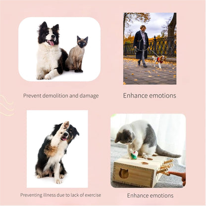 Dog Buttons for Communication, HD Sound Quality Loud Dog Buttons Talk, Dog Buttons Talk for Training, Recordable Dog Talking Button Set with Double-Sided Adhesive Tape and 5 Scene Stickers