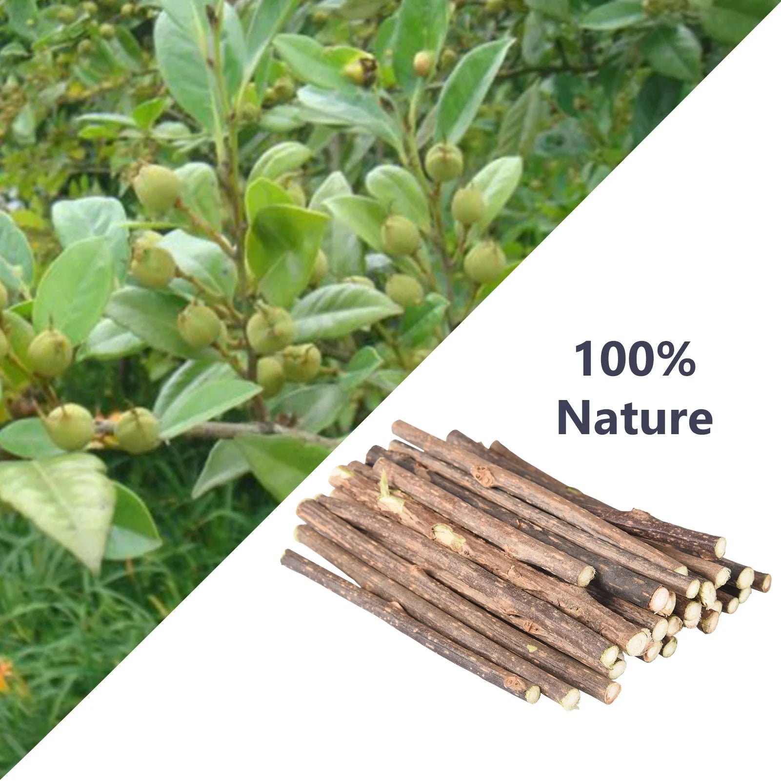 30 Pcs Silvervine Sticks for Cats, 8 Pcs Skitter Critters Cat Toy Catnip Mice, Natural Catnip Sticks Chew Sticks, Teeth Molar Chew Toys for Cat Kitten Kitty