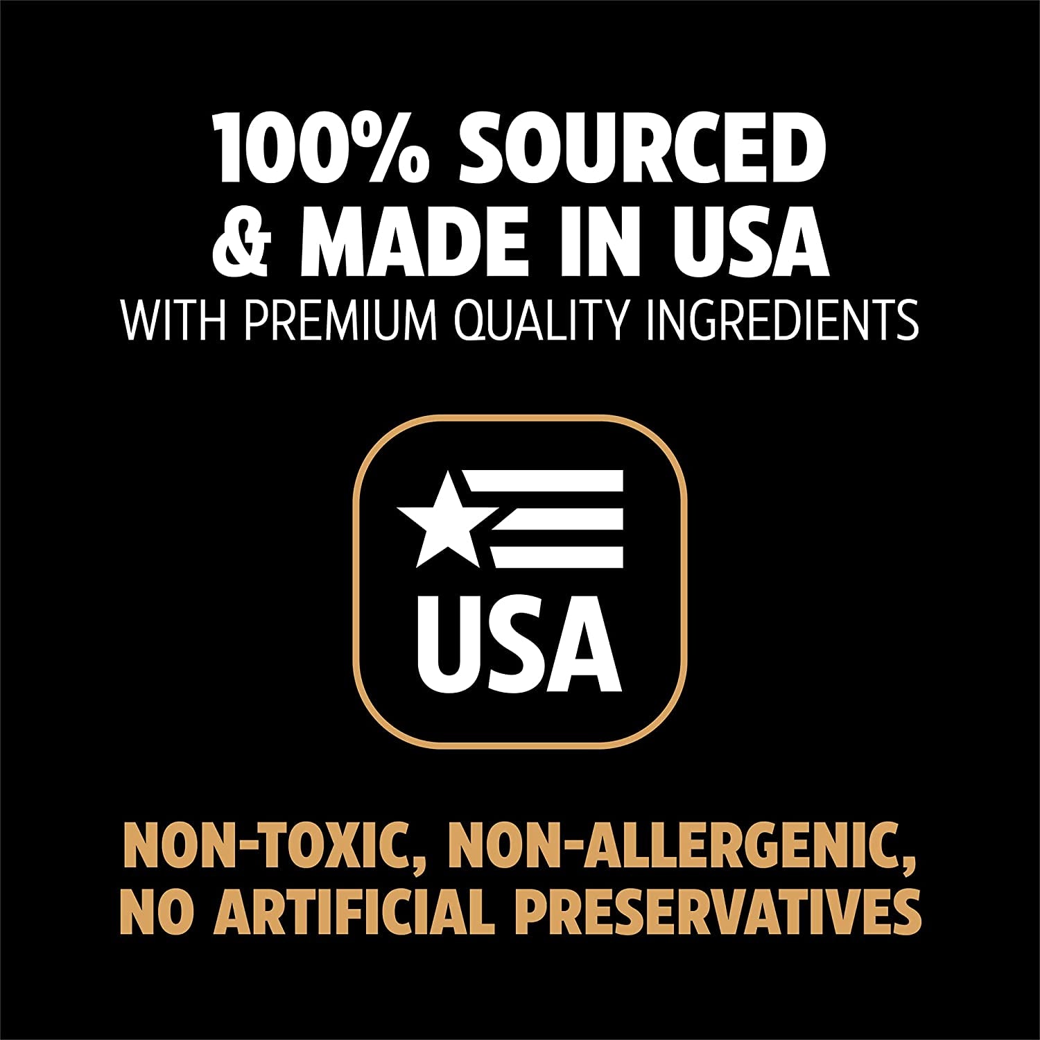 Dinosaur Barkbone - Indestructible Nylon Dog Bone for Aggressive Chewers - Yummy Bacon Flavor - 8.5