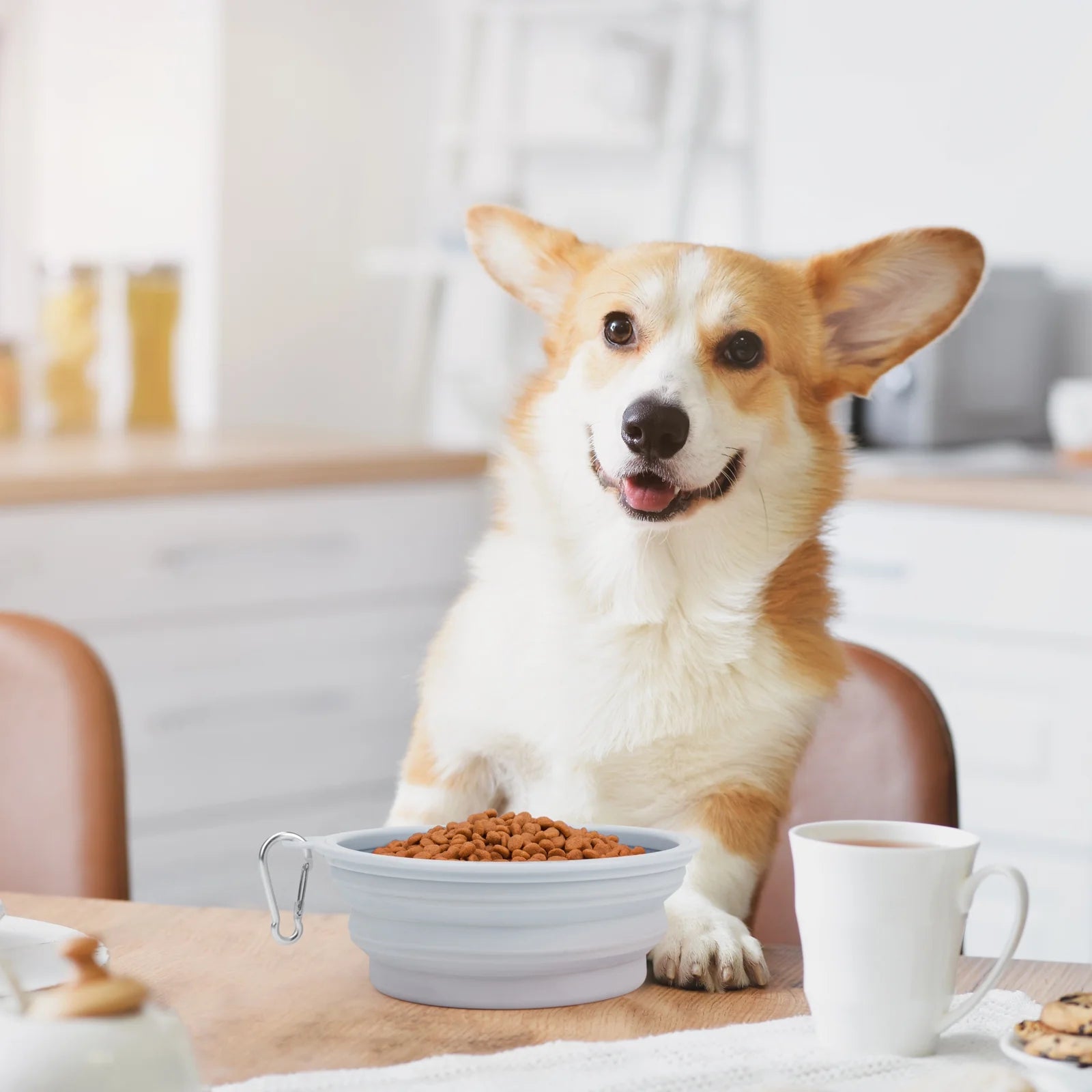 Large Collapsible Dog Bowls, Portable Foldable Travel Water Bowl Food Dishes with Carabiner Clip for Traveling Camping Walking, 2 Pack（Blue）
