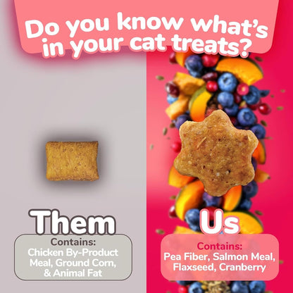 Cat Treats, Healthy Treats for Cats, Low Calorie and Packed with Protein, Crunchy Biscuits, Free of Wheat, Corn and Soy, Made with Real Salmon and Cranberry, 2.5Oz