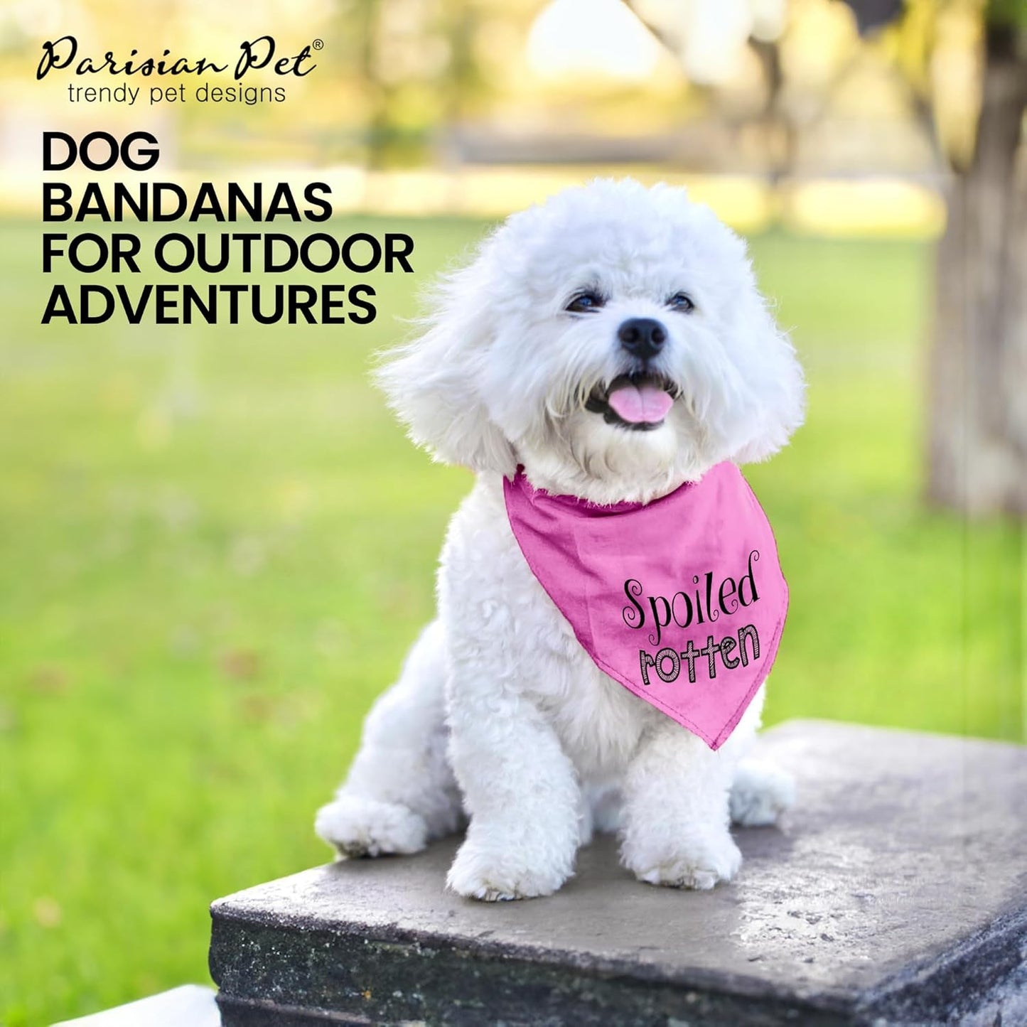 Dog Bandanas with Printed 'Spoiled Rotten' Word - Tie-On Adjustable Bandana for Dogs - Female Dog Scarf for Small Dogs - Triangle Cat and Dog Bib - Pink Handkerchief for Pets - S