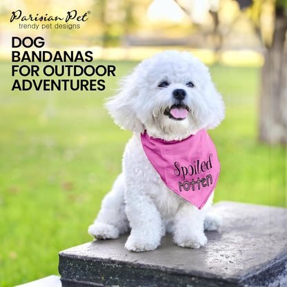 Dog Bandanas with Printed 'Spoiled Rotten' Word - Tie-On Adjustable Bandana for Dogs - Female Dog Scarf for Small Dogs - Triangle Cat and Dog Bib - Pink Handkerchief for Pets - S