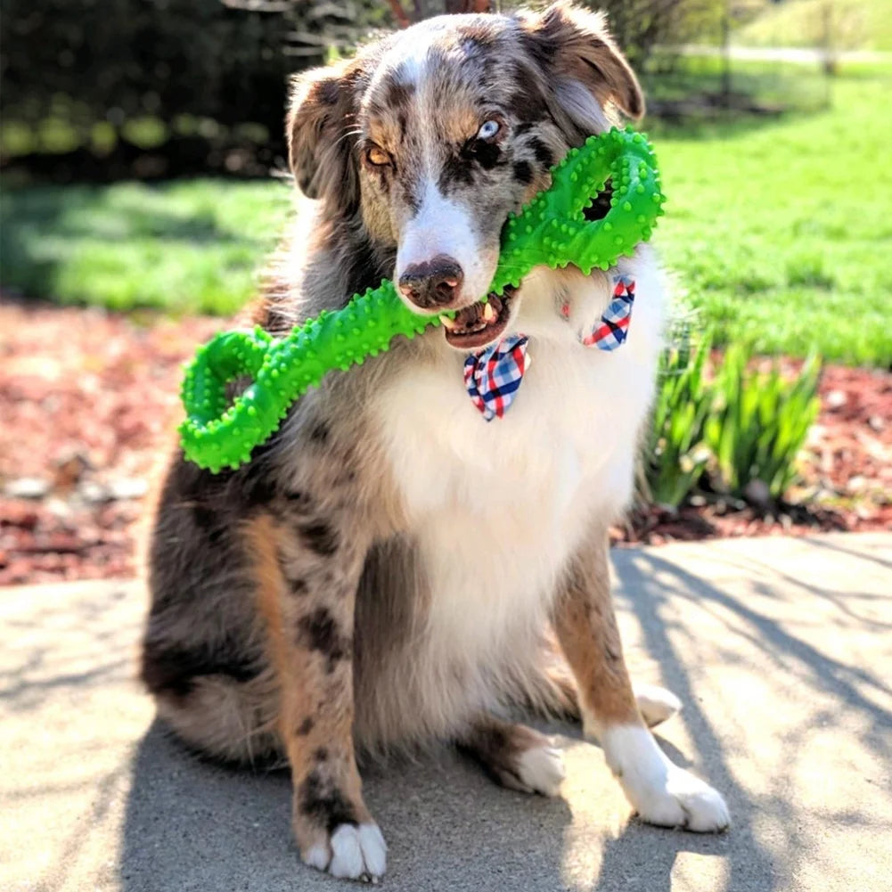 Durable Dog Chew Toys 13 Inch Bone Shape Extra Large Dog Toys with Convex Design Strong Tug Toy for Aggressive Chewers Medium and Large Dogs Tooth Cleaning, Green
