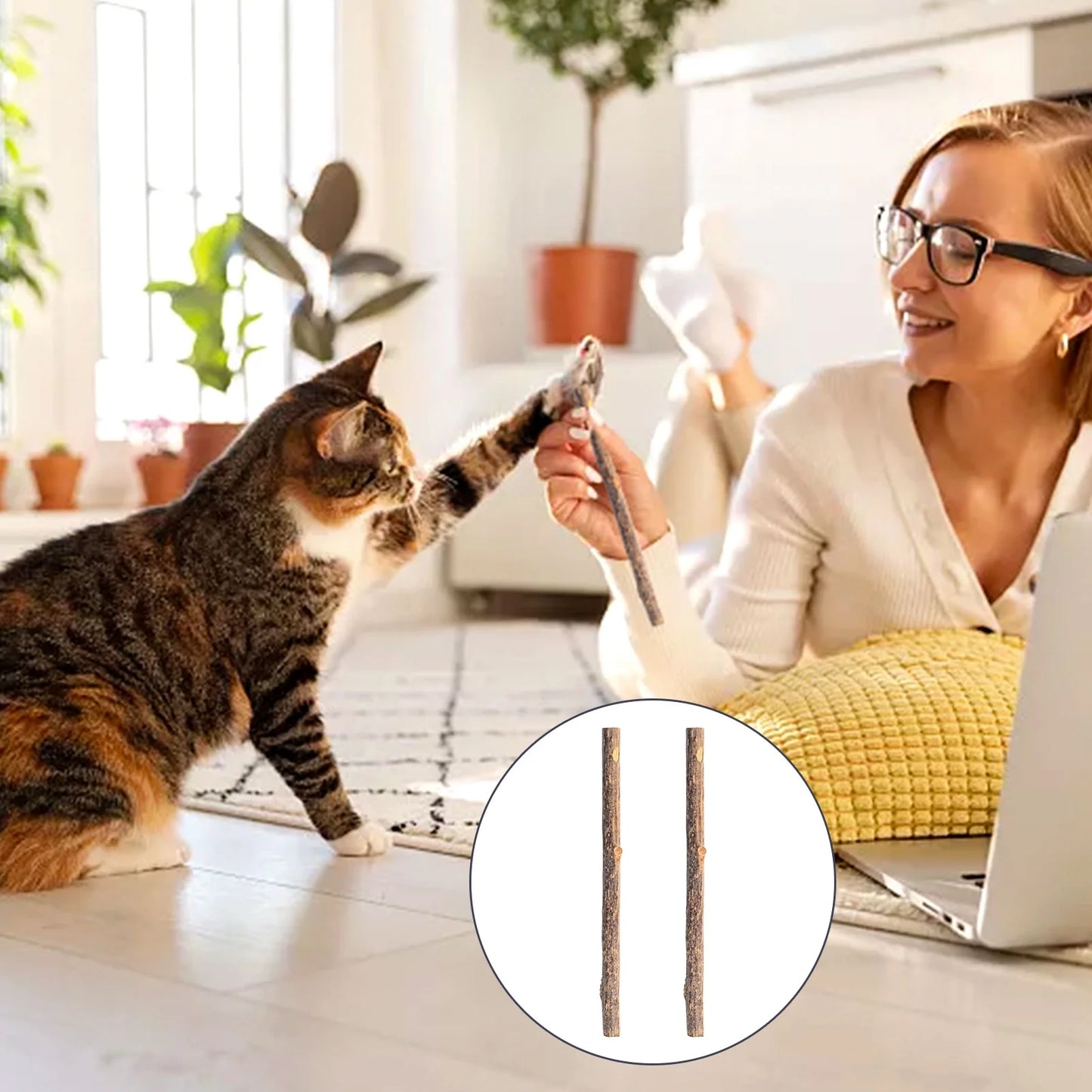 30 Pcs Silvervine Sticks for Cats, 8 Pcs Skitter Critters Cat Toy Catnip Mice, Natural Catnip Sticks Chew Sticks, Teeth Molar Chew Toys for Cat Kitten Kitty